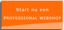 Professional webshop starten