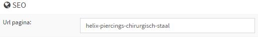 SEO url wijzingen