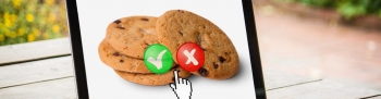 Webshops en cookies | Alles wat je erover moet weten.